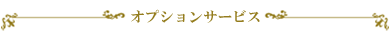 オプションサービス